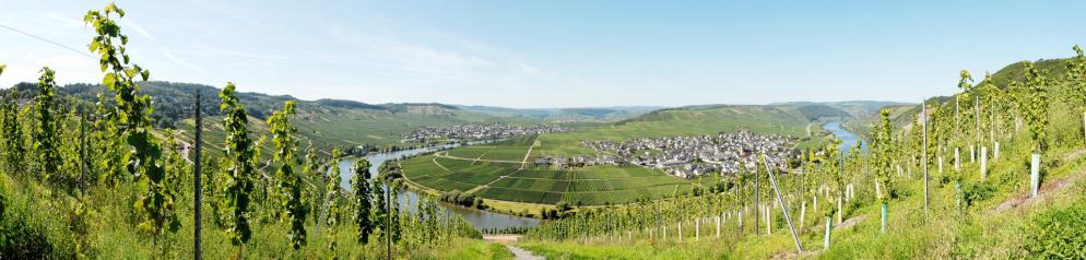 Deutschland: Rheinland - Mosel - Weinberge