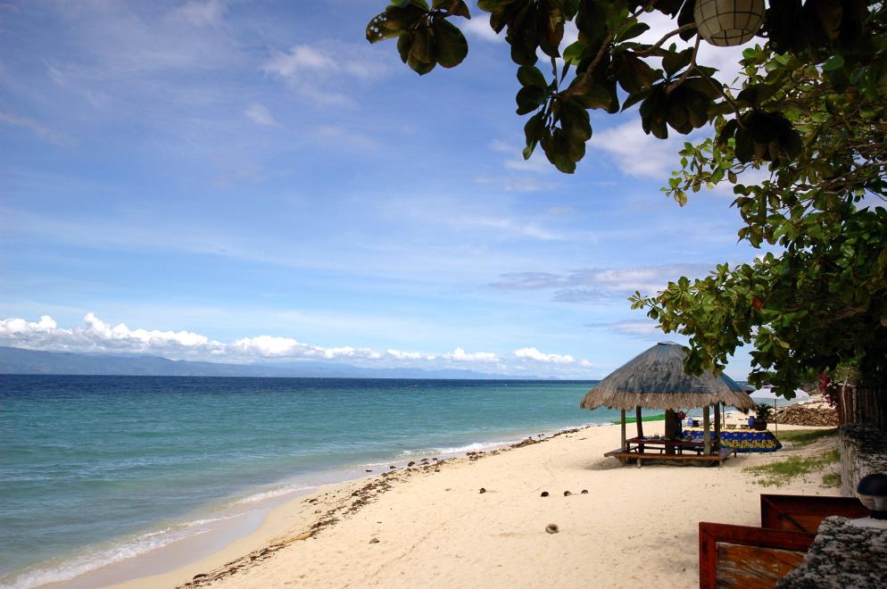 Cebu Cebu