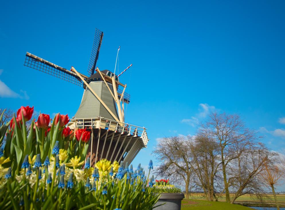 Windmühle Windmühle