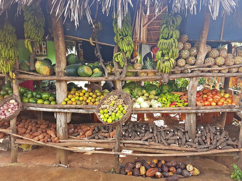 Dominikanische Republik Obst Früchte Markt