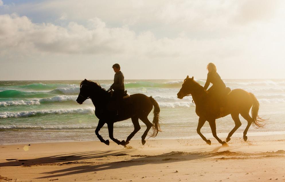 Aktivurlaub - Spanien - Andalusien - Reiten - Pferde - Strand