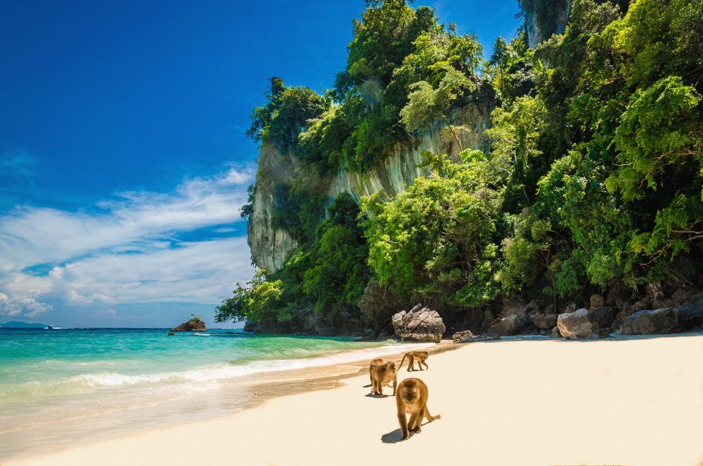 Monkey Beach - Insel Koh Pee Pee (Phi Phi) Monkey Beach - Insel Koh Pee Pee (Phi Phi)