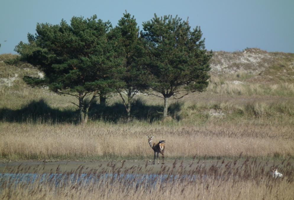 Ostsee Ostsee
