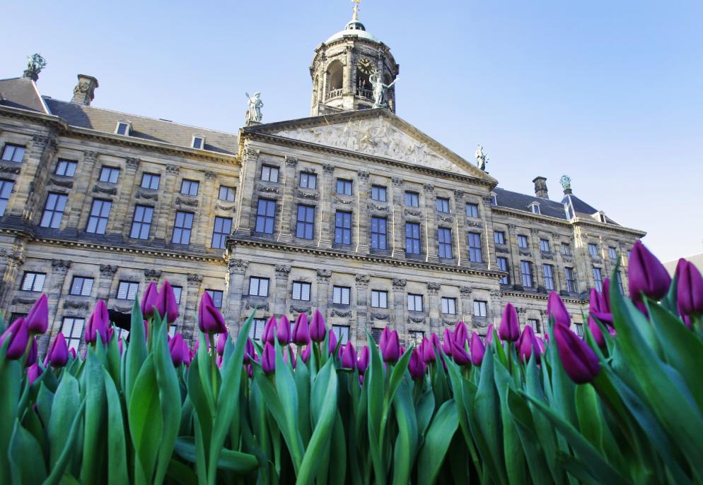 Dam Platz - Amsterdam Dam Platz - Amsterdam