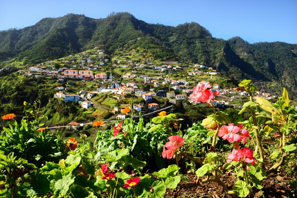 Madeira Madeira