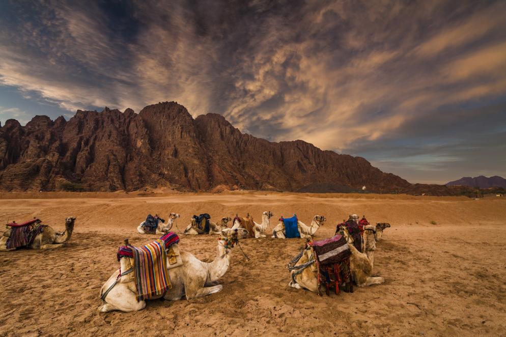 Der Heilige Berg Sinai - Ägypten Der Heilige Berg Sinai - Ägypten