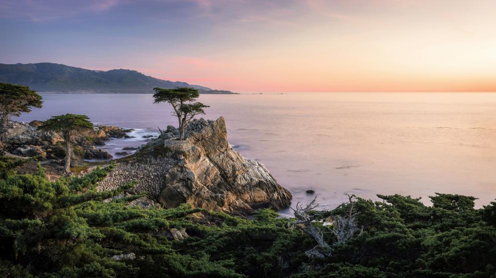 17-Miles-Drive, Lone Cypress - Kalifornien 17-Miles-Drive, Lone Cypress - Kalifornien