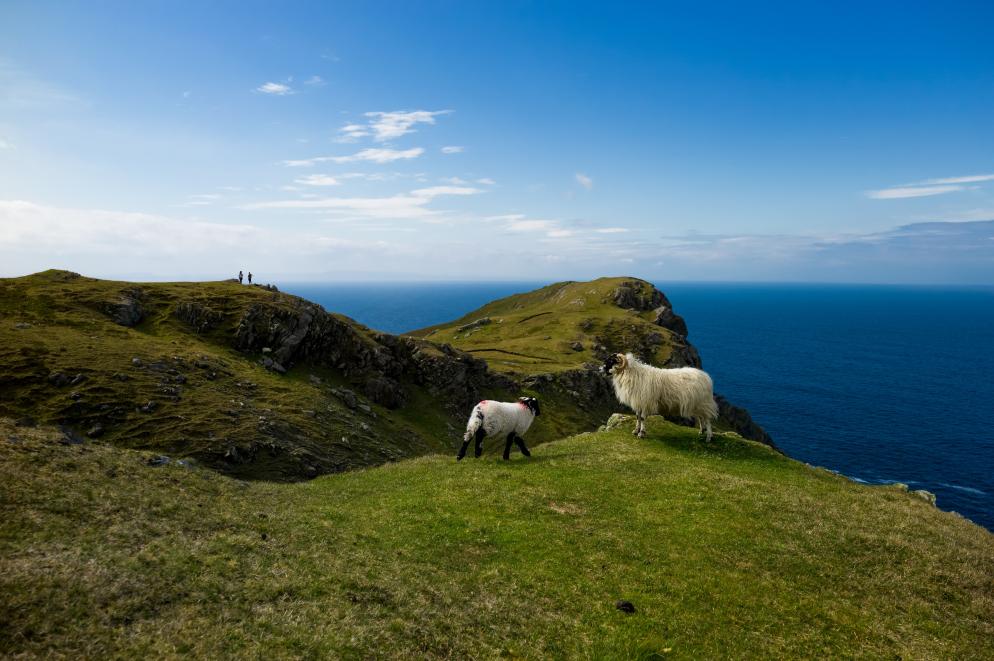 Wild Atlantic Way - Irland Wild Atlantic Way - Irland