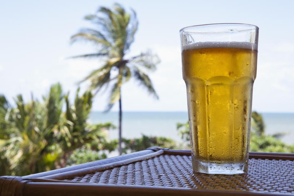 Bier+Palme